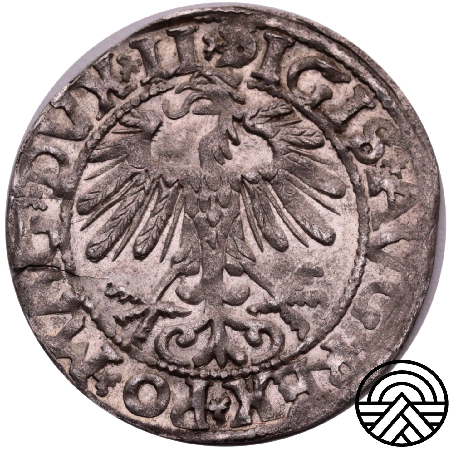 Litwa, Półgrosze, Zygmunt II August 1558 r. Wilno Piękny!