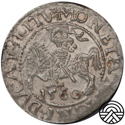 Polska, Zygmunt II August, Półgrosz, 1560 r. Wilno
