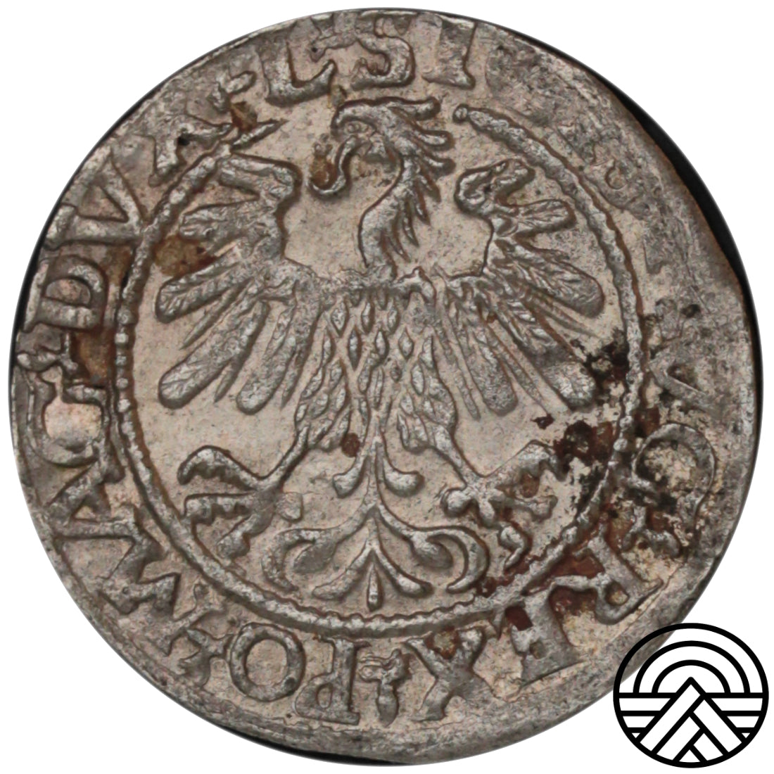 Polska, Zygmunt II August, Półgrosz, 1560 r. Wilno