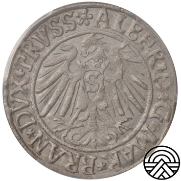 Niemcy, Albrecht Hohenzollern, Grosz, 1539 r. PCGS MS 62